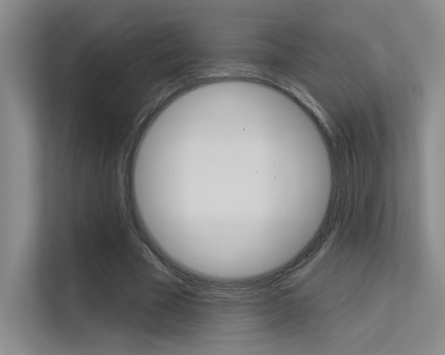 X0000113360585200909151008