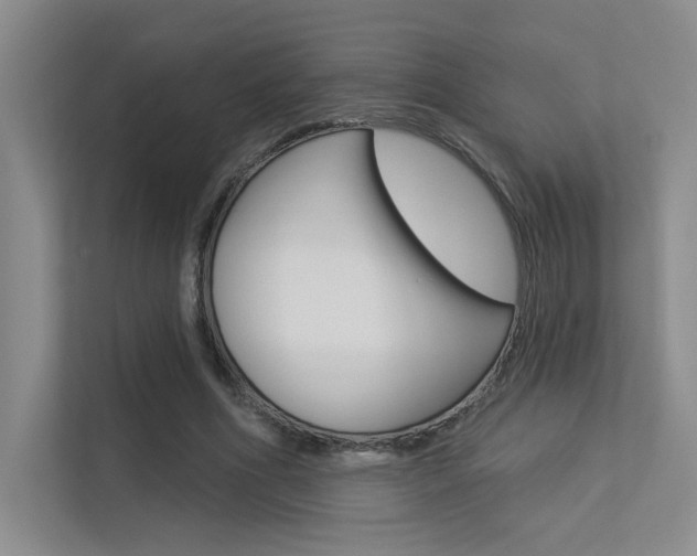X0000113360586200909151008