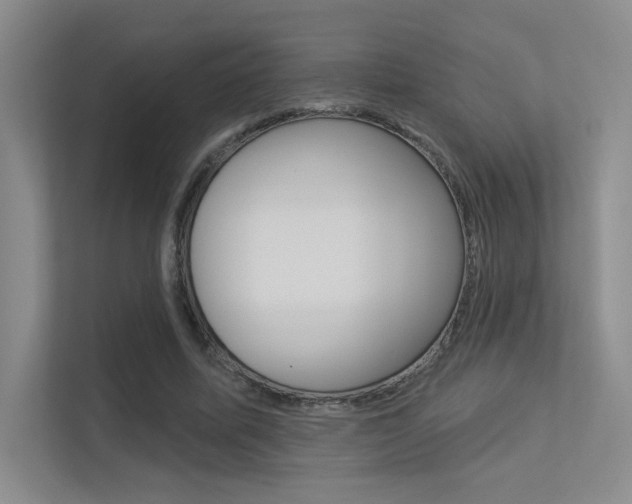X0000113360587200909151008
