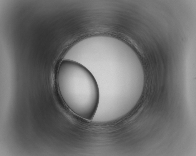 X0000113360589200909151008