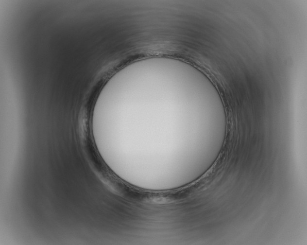 X0000113360590200909151008