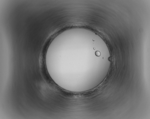 X0000113360591200909151008