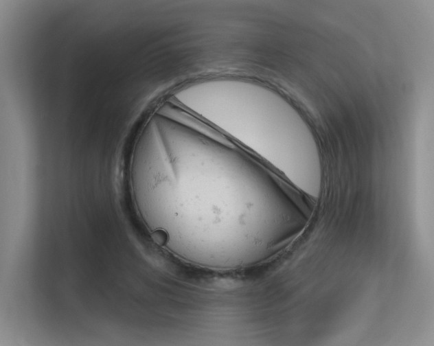 X0000113360592200909151008