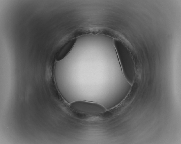 X0000113360593200909151008