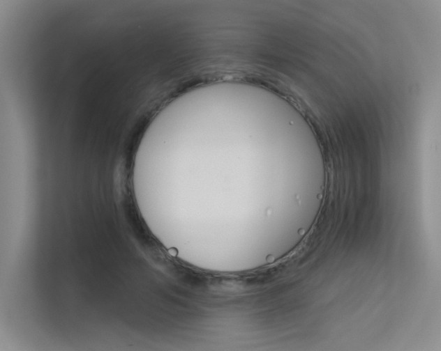 X0000113360594200909151008
