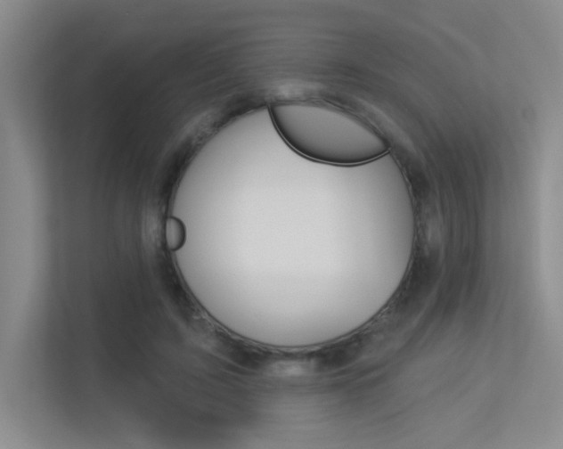 X0000113360595200909151008