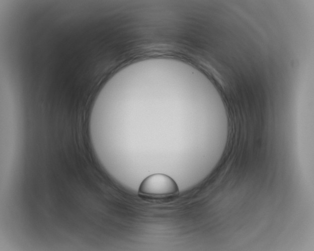 X0000113360597200909151008