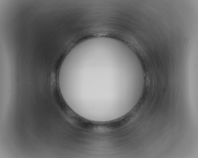 X0000113360598200909151008