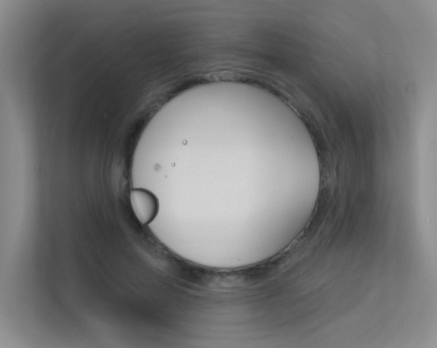 X0000113360599200909151008