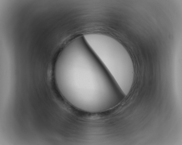 X0000113360600200909151008