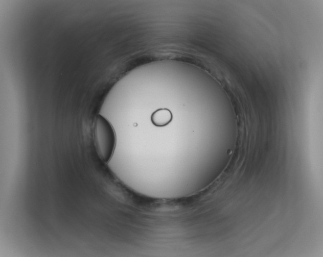 X0000113360601200909151008