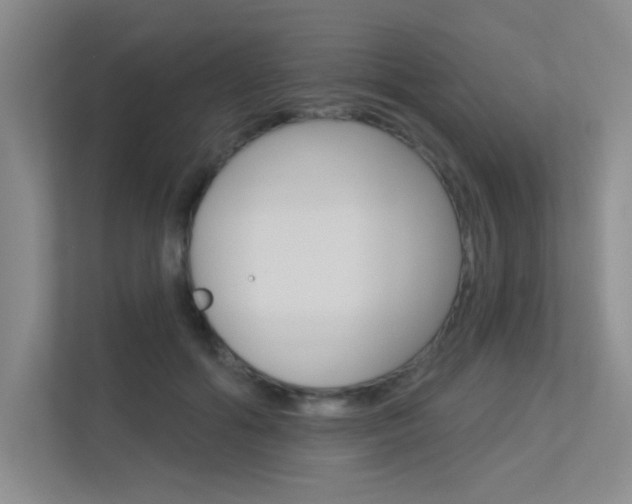 X0000113360602200909151008