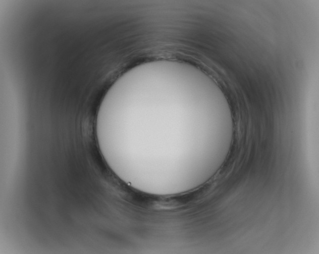 X0000113360603200909151008