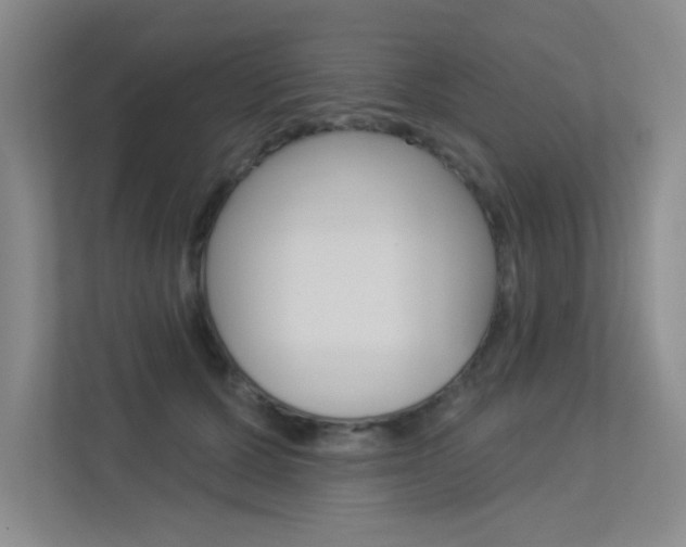 X0000113360607200909151008