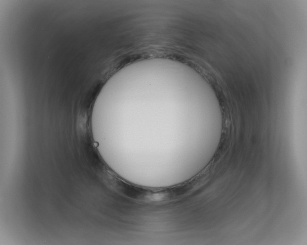X0000113360610200909151008