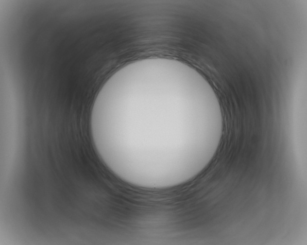 X0000113360611200909151008