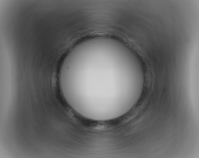 X0000113360612200909151008