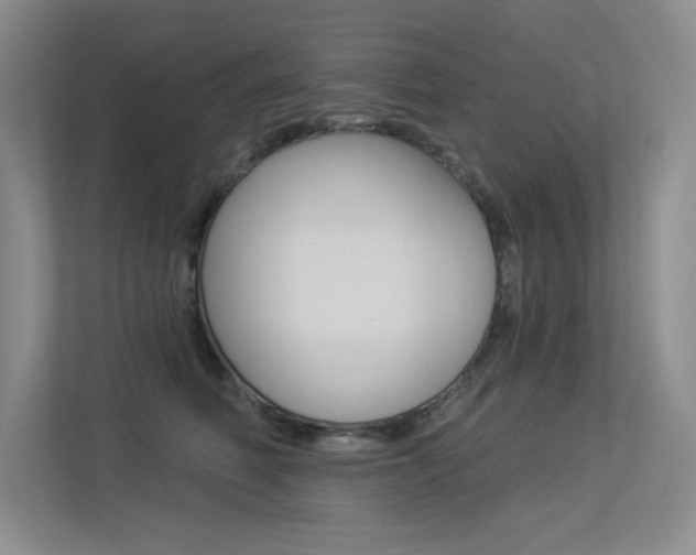 X0000113360614200909151008