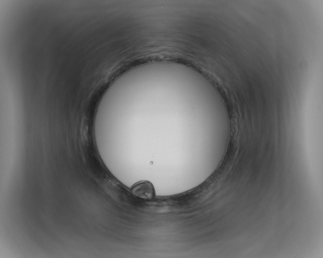 X0000113360615200909151008