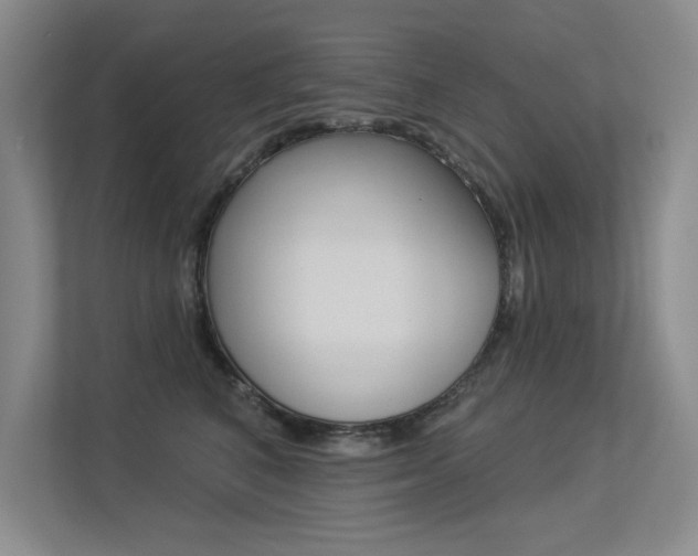 X0000113360616200909151008
