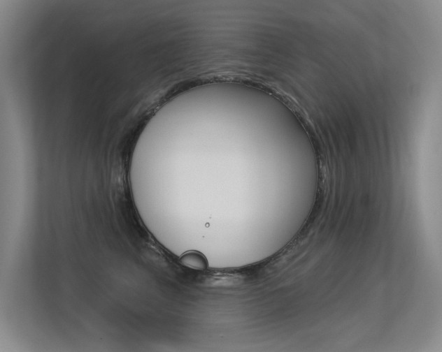 X0000113360617200909151008