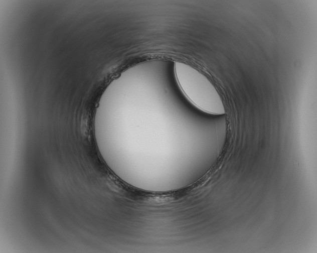 X0000113360619200909151008