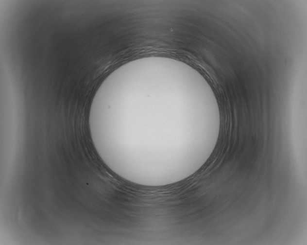 X0000113360621200909151008