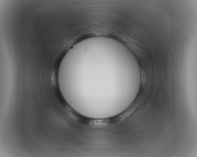 X0000113360622200909151008