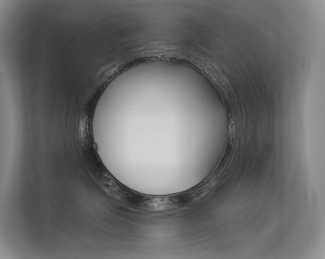 X0000113360623200909151008