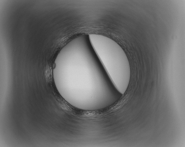 X0000113360624200909151008