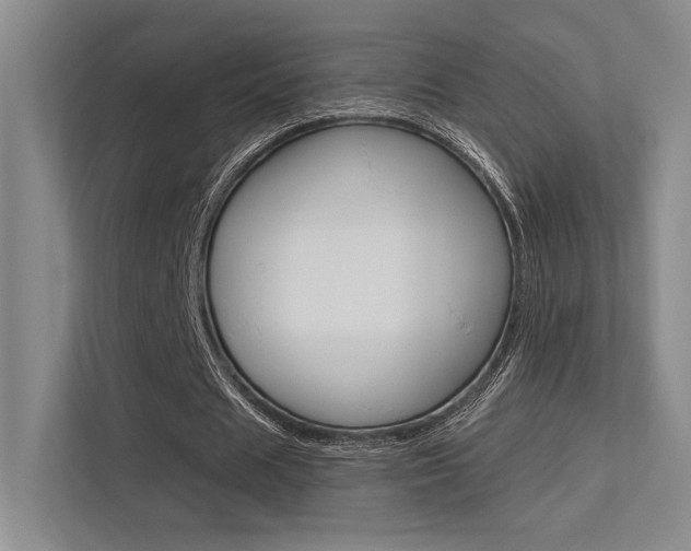 X0000113360625200909151007
