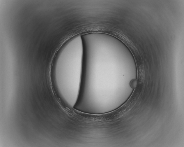 X0000113360626200909151007