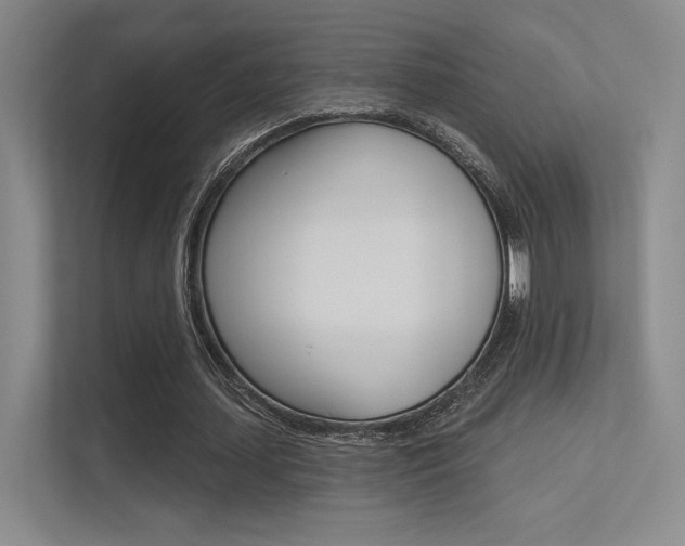 X0000113360627200909151007