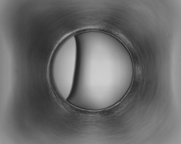X0000113360628200909151007