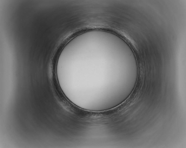 X0000113360631200909151007