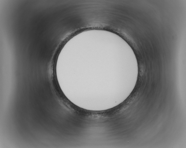 X0000113360632200909151007