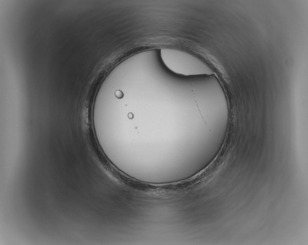 X0000113360633200909151007