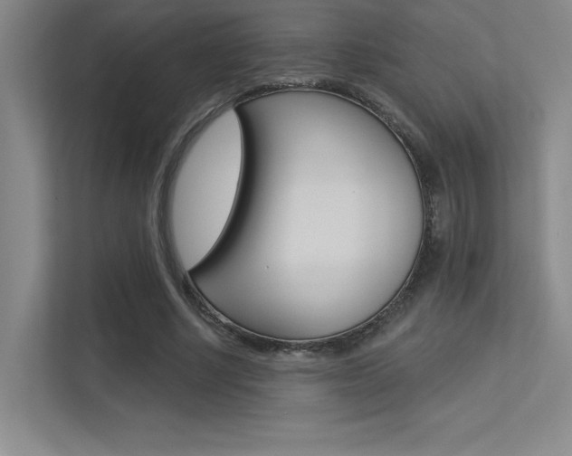 X0000113360634200909151007