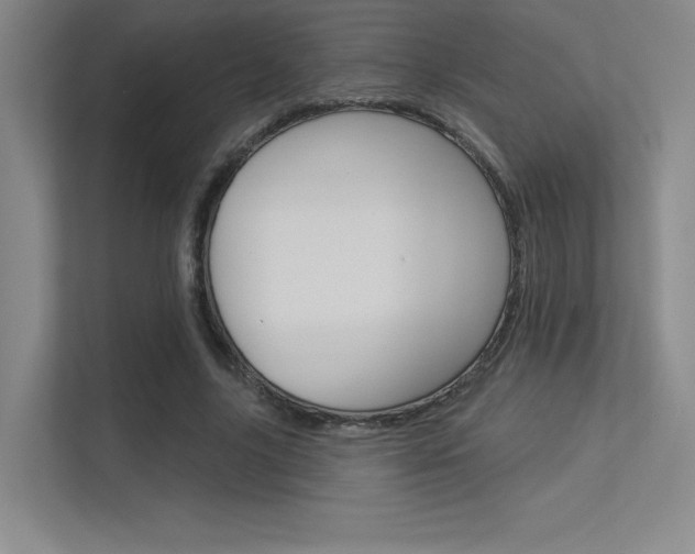 X0000113360635200909151007