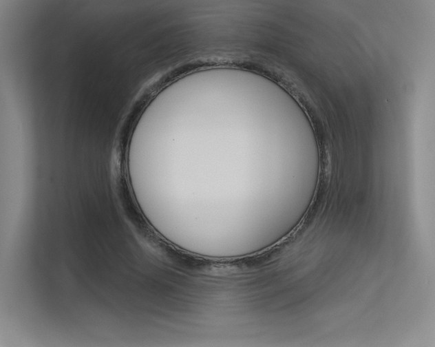 X0000113360636200909151007