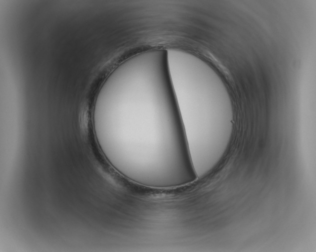 X0000113360637200909151007