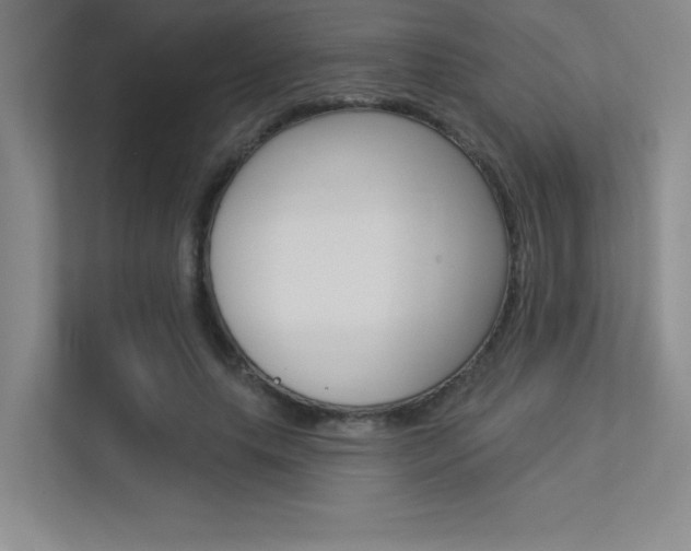 X0000113360639200909151007