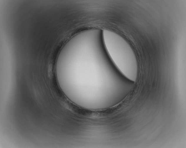 X0000113360641200909151007