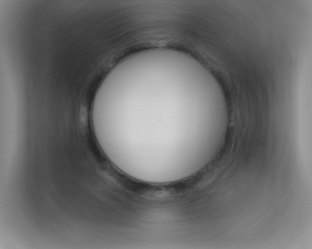 X0000113360646200909151007