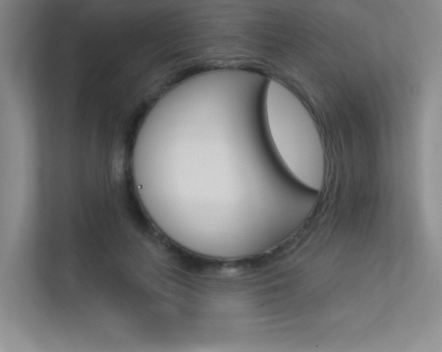 X0000113360647200909151007