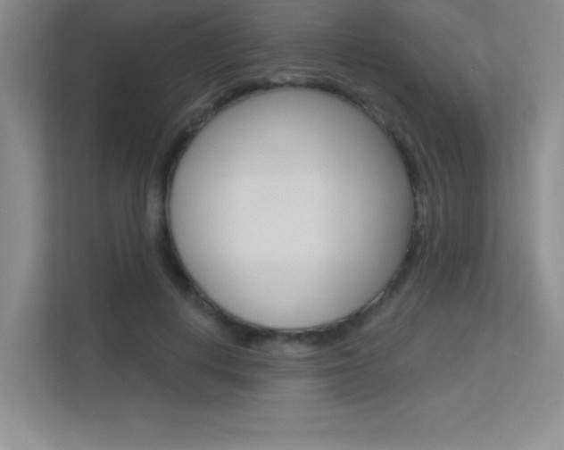 X0000113360648200909151007
