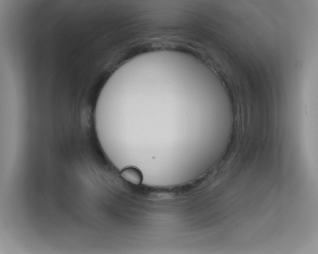 X0000113360649200909151007