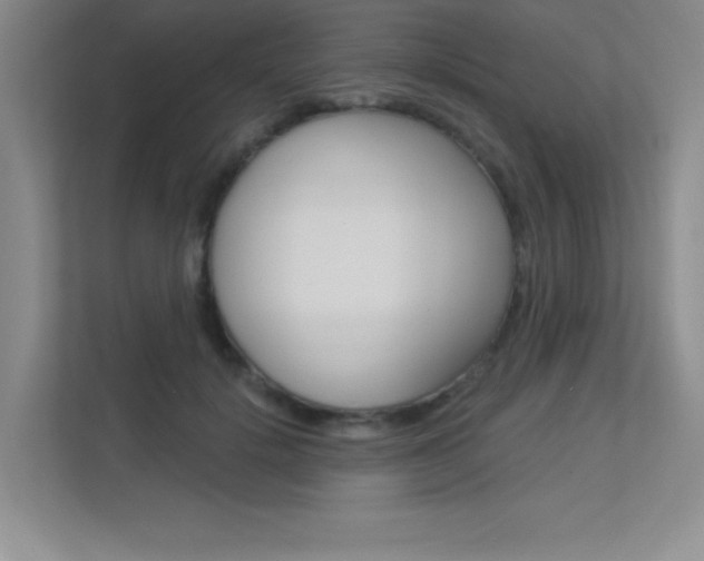 X0000113360652200909151007