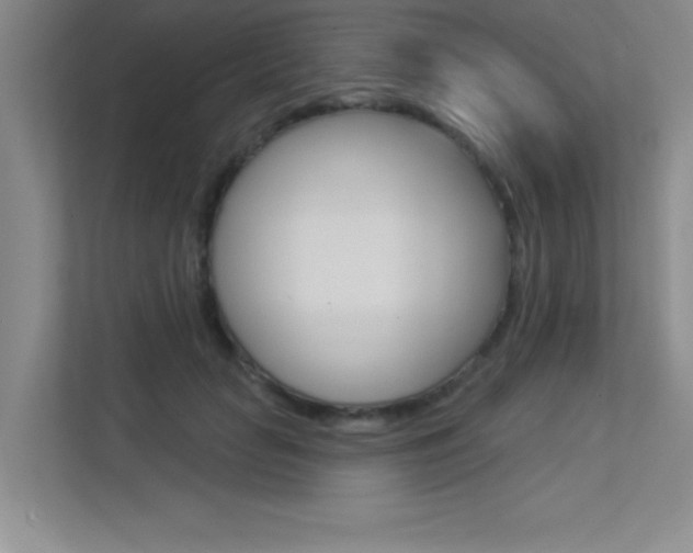 X0000113360653200909151007