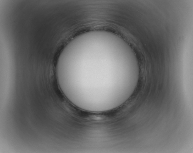 X0000113360654200909151007